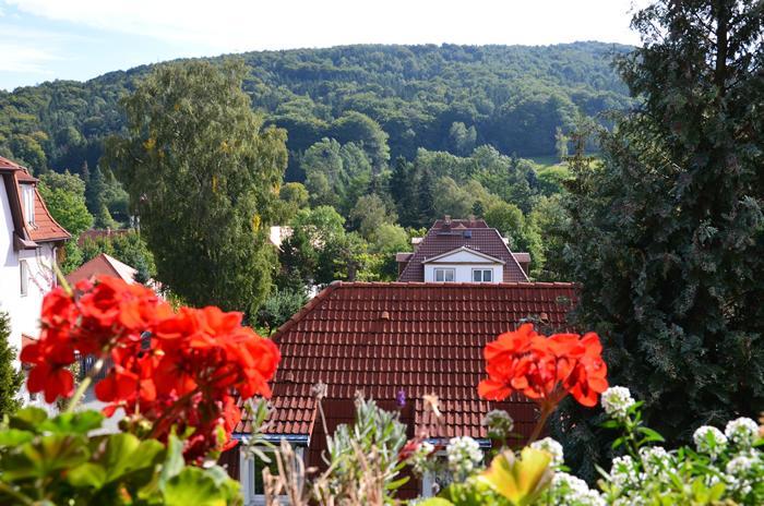 Villa Sonnenseite Jonsdorf Exterior photo